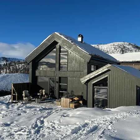 Modern In Rauland With Panorama View