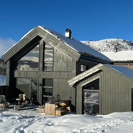 Modern In Rauland With Panorama View *